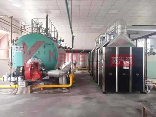 真低氮選凱大 食品廠4臺(tái)1t超低氮變頻蒸汽源機(jī)組完美替換4t傳統(tǒng)燃?xì)忮仩t及避雷方案解析